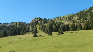 2016-07-01 Sierra de Cadi23 