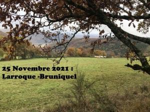 2021-11-25-Larroque-Bruniquel