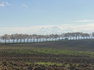 20241107Cintegabelle (2)_resultat