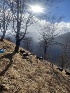 20250109Seix (2)_resultat