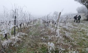 20250116Gaillac (1)_resultat