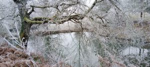 20250116Gaillac (5)_resultat
