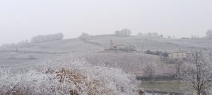 20250116Gaillac (7)_resultat